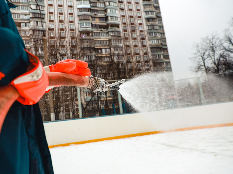 Фото: пресс-служба администрации г.о. Химки