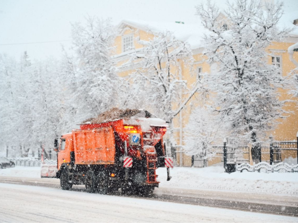 Фото: пресс-служба администрации Сергиево-Посадского округа
