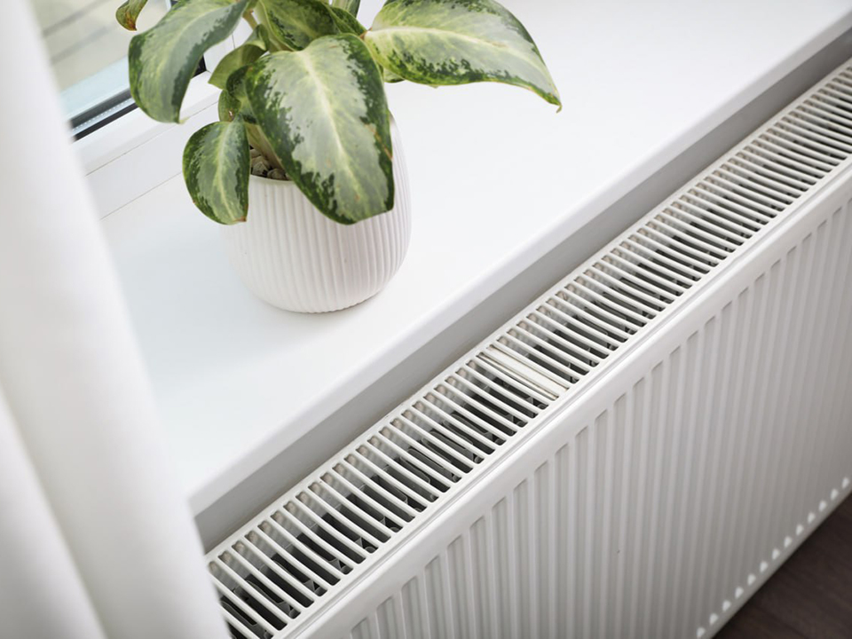 Фото: istockphoto.com/Liudmila Chernetska