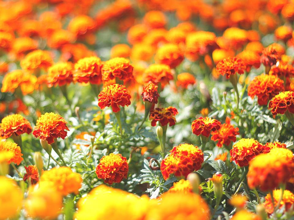 Фото: istockphoto.com