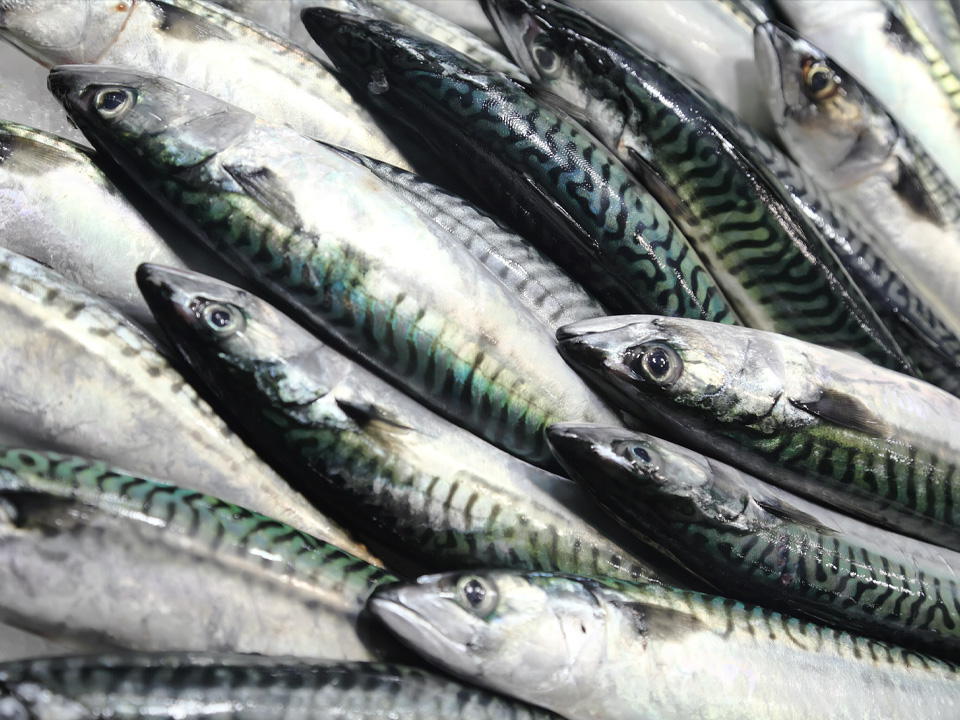 Фото: istockphoto.com/vuk8691 