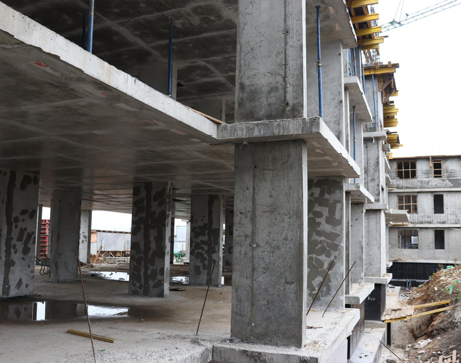 Фото: МедиаБанк Подмосковья/Татьяна Кострикина