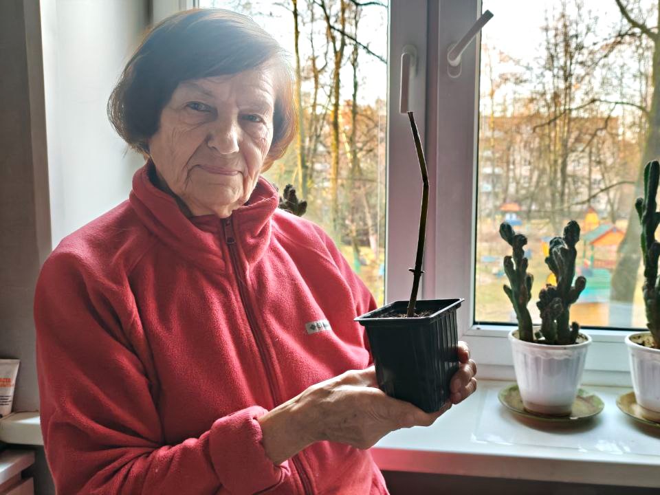 Фото: REGIONS/Максим Зубарев