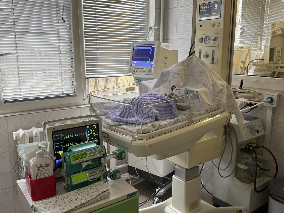 Фото: МедиаБанк Подмосковья/Анна Дука