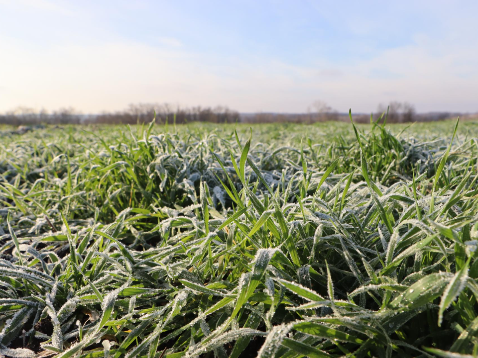 Фото: REGIONS/Ирина Матвеева