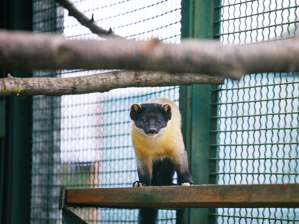 Фото: медиасток.рф