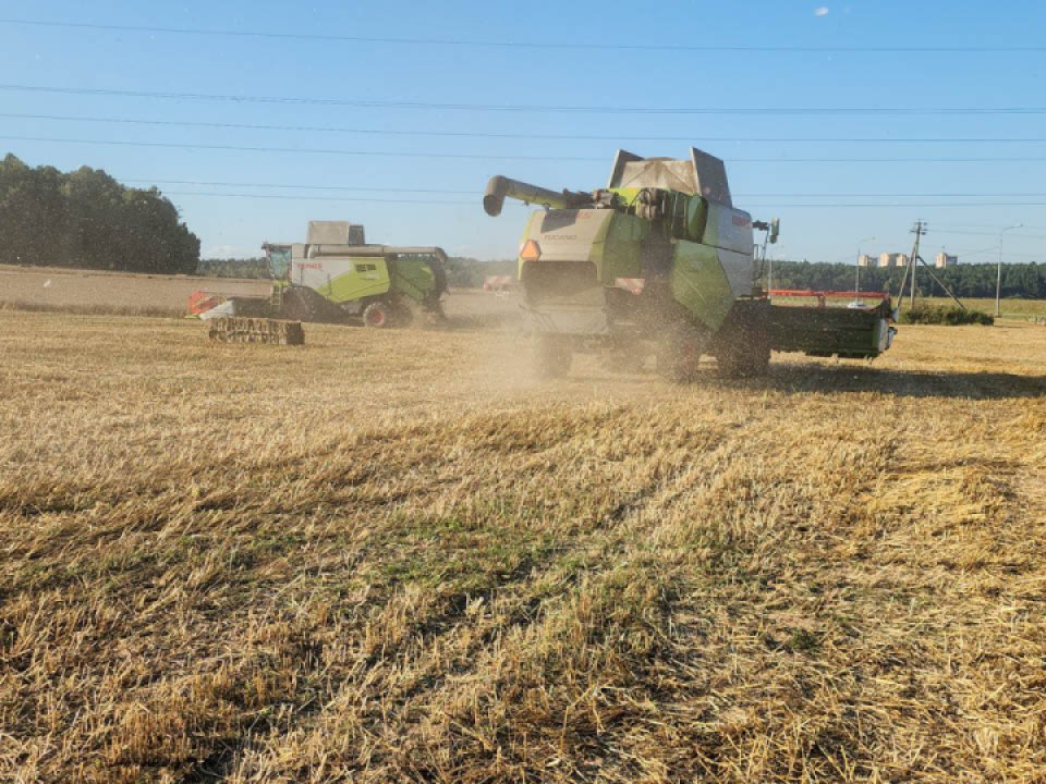 Фото: REGIONS/Наталья Надточая