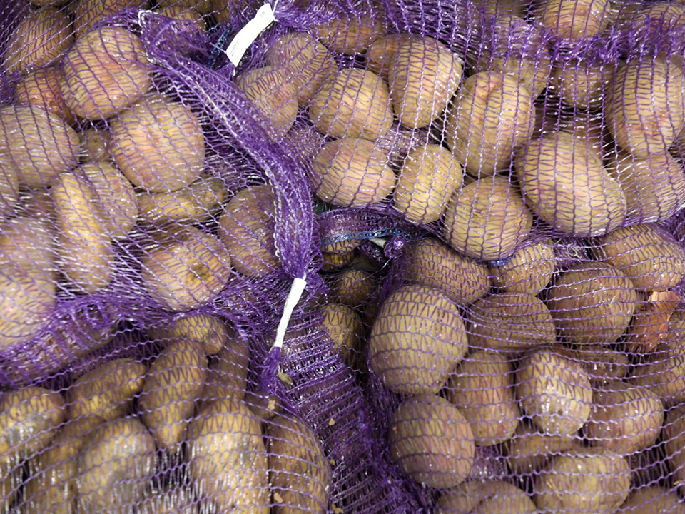 Фото: РИА Новости/Максим Богодвид