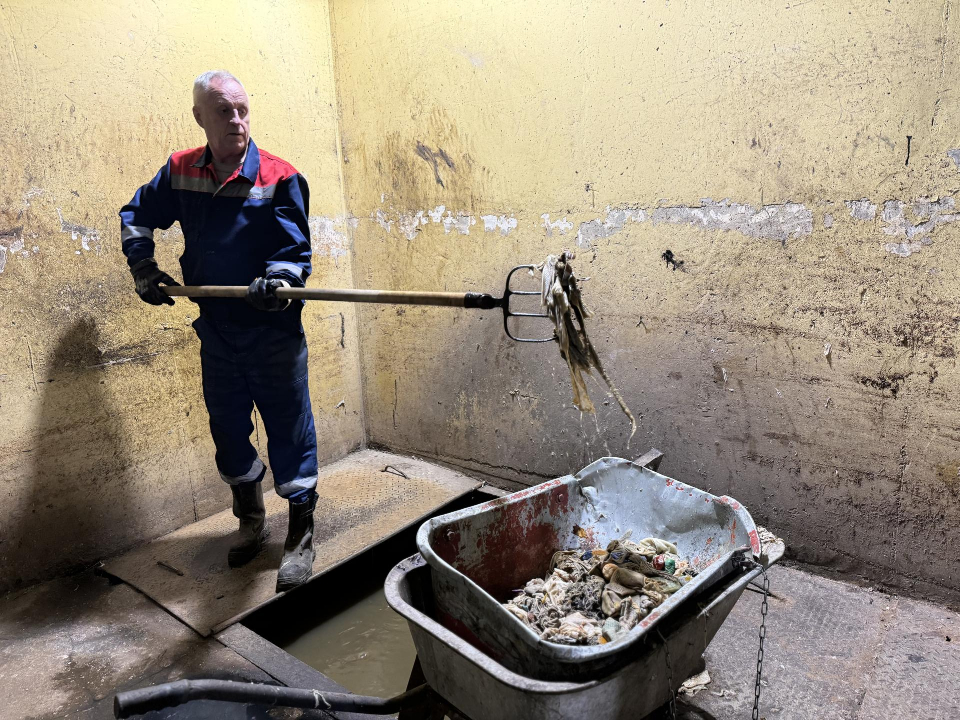 Фото: Полина Абраменко