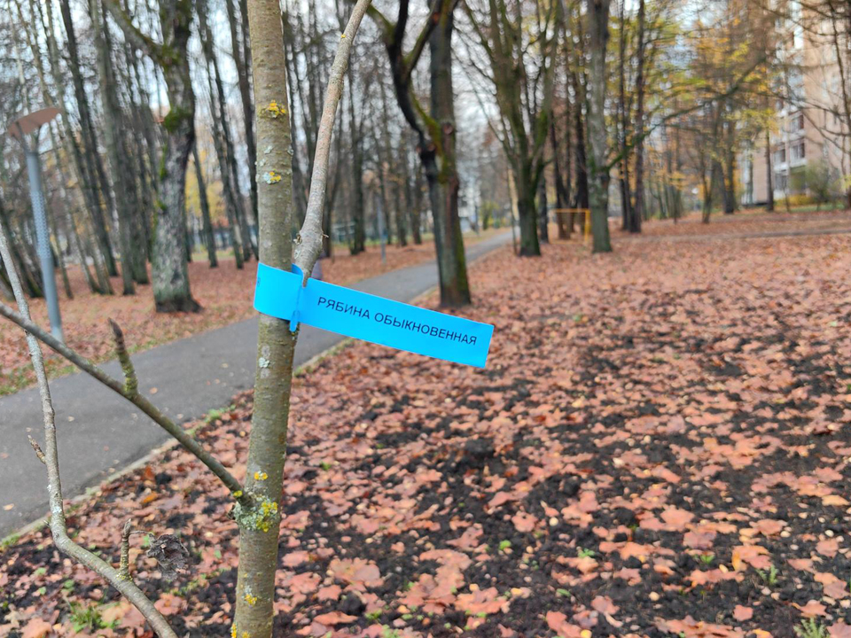 Фото: REGIONS/Елена Катасонова