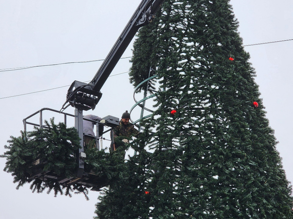 Фото: МедиаБанк Подмосковья/Валерия Тингаева