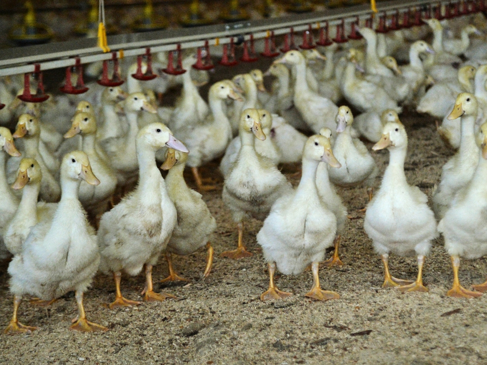 Фото:  РИА Новости/Александр Кондратюк