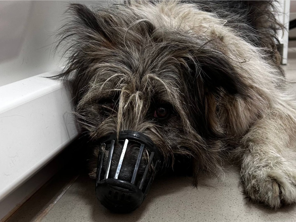 Фото: личный архив Яны Зарифьяновой 