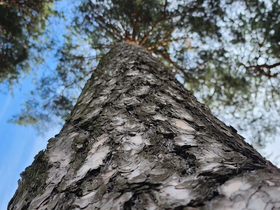 Фото: REGIONS/Наталия Надточая 