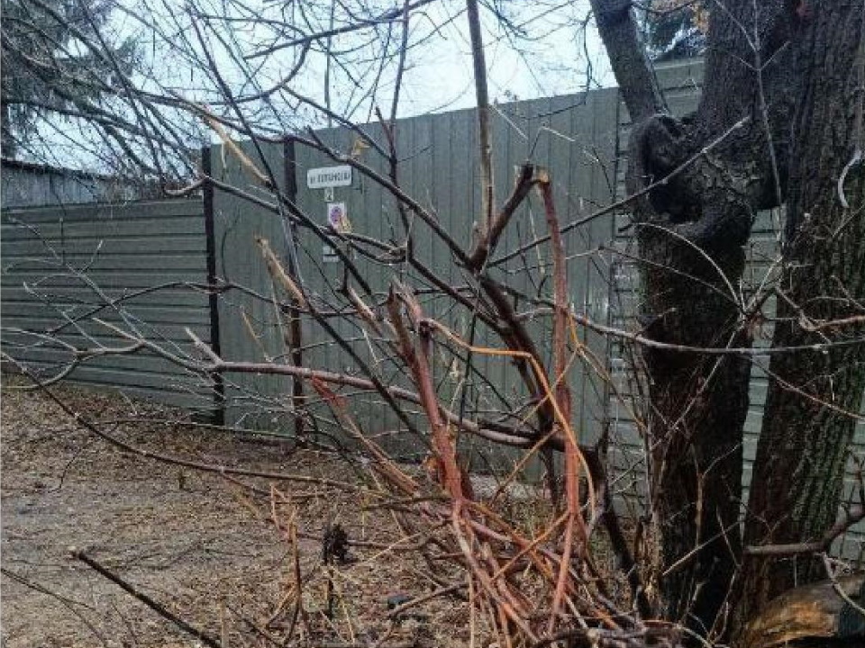 Фото: РУАД № 8