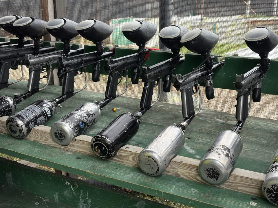 Фото: МедиаБанк Подмосковья/Анна Нестерова