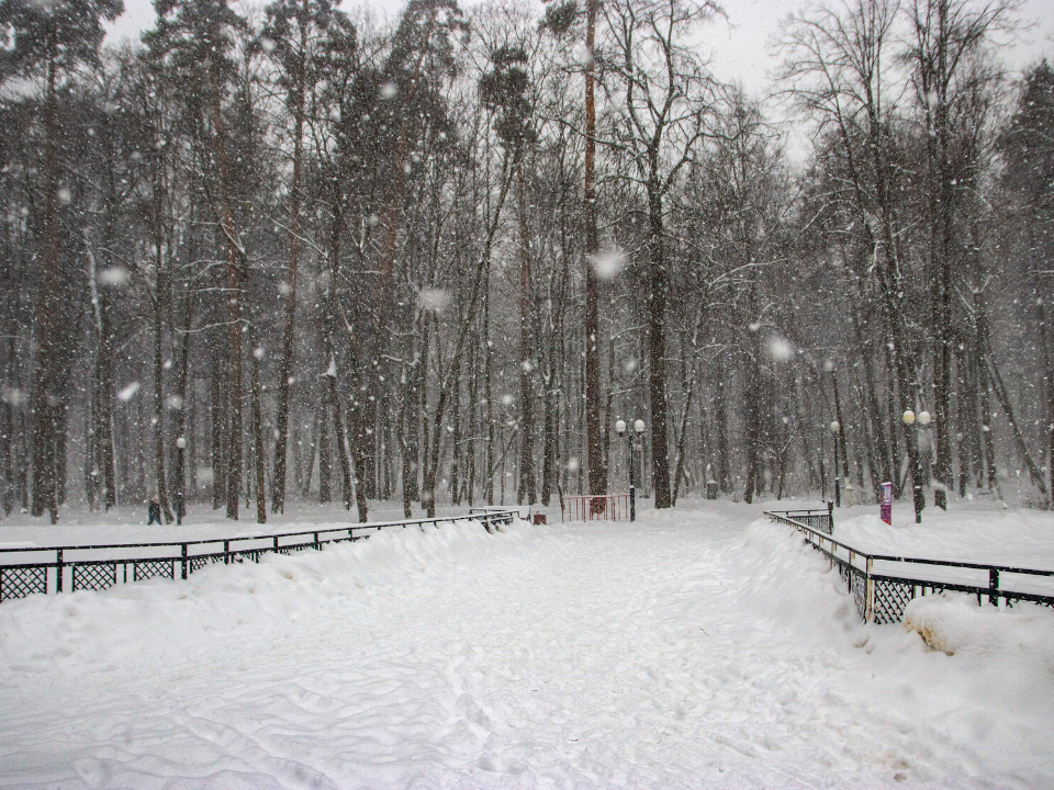 Фото: паркикрасногорска.рф