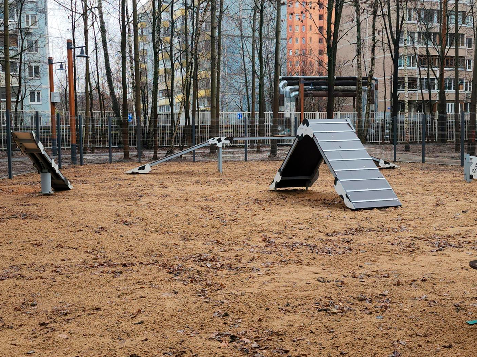 Фото: МедиаБанк Подмосковья/Роман Кутузов