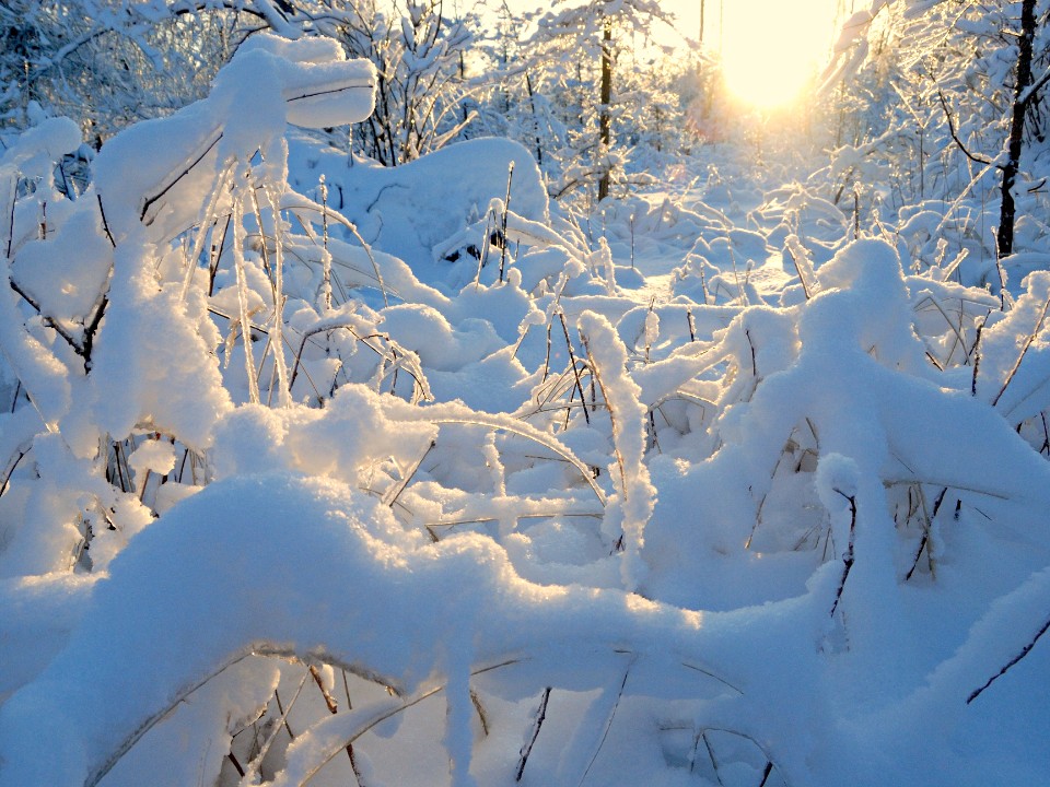 Фото: Ирина Зубарева