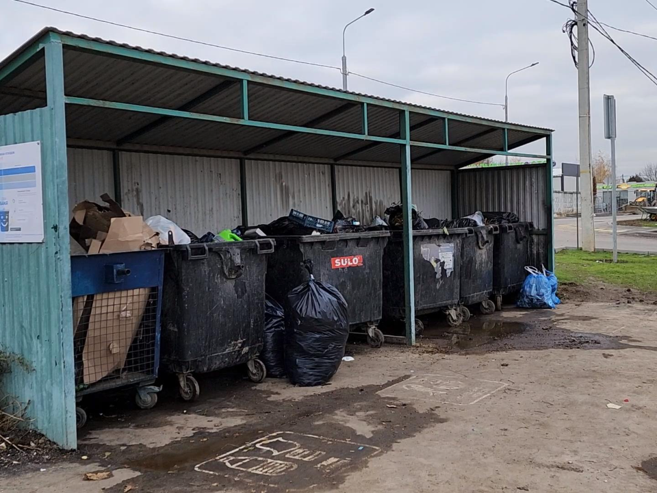 Фото: МедиаБанк Подмосковья/Никита Сморкалов