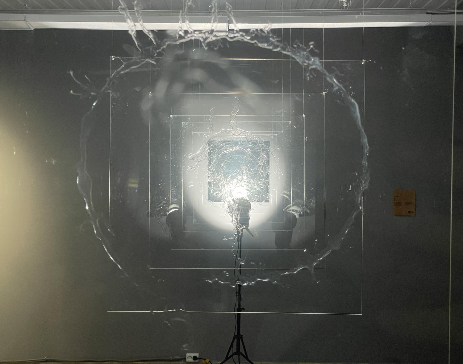 Фото: МедиаБанк Подмосковья/Татьяна Кострикина