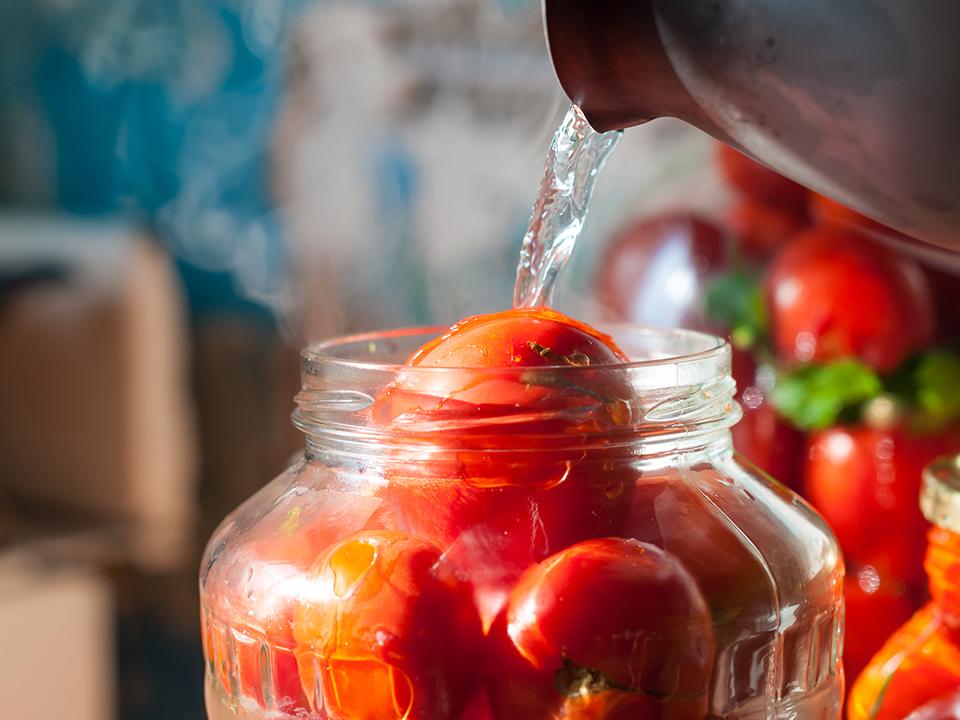 Фото: istockphoto.com/Bychykhin_Olexandr