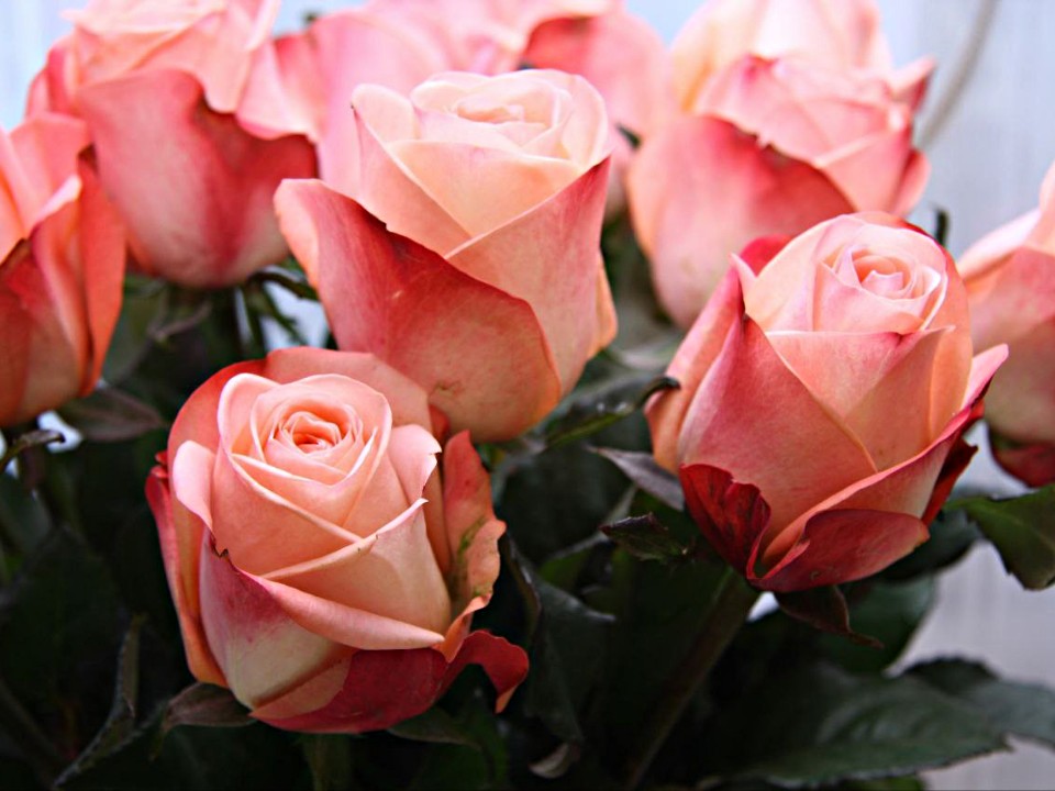 Фото: Ирина Зубарева