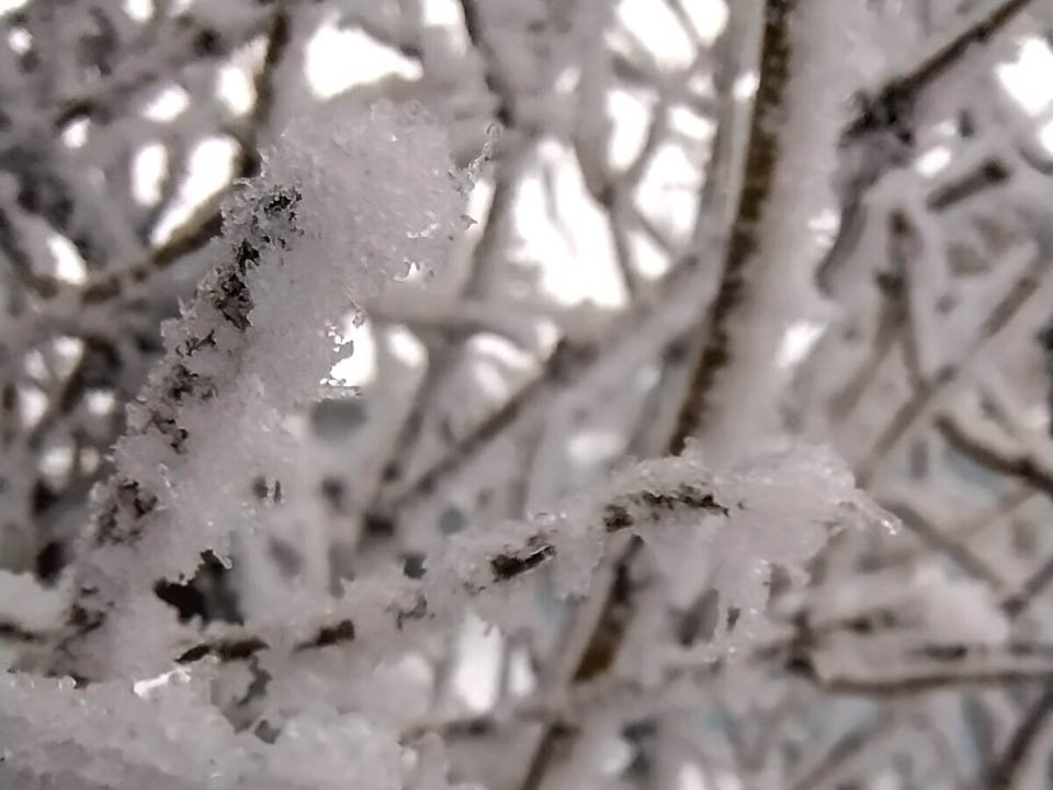 Фото: REGIONS/Роман Малышенко