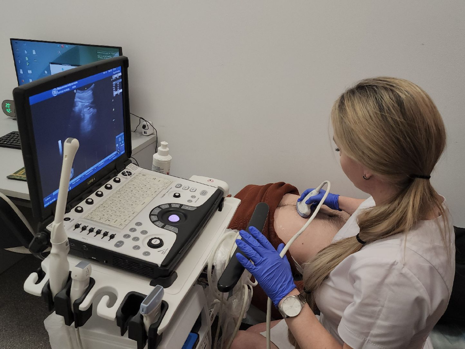 Фото: МедиаБанк Подмосковья/Кристина Ларина