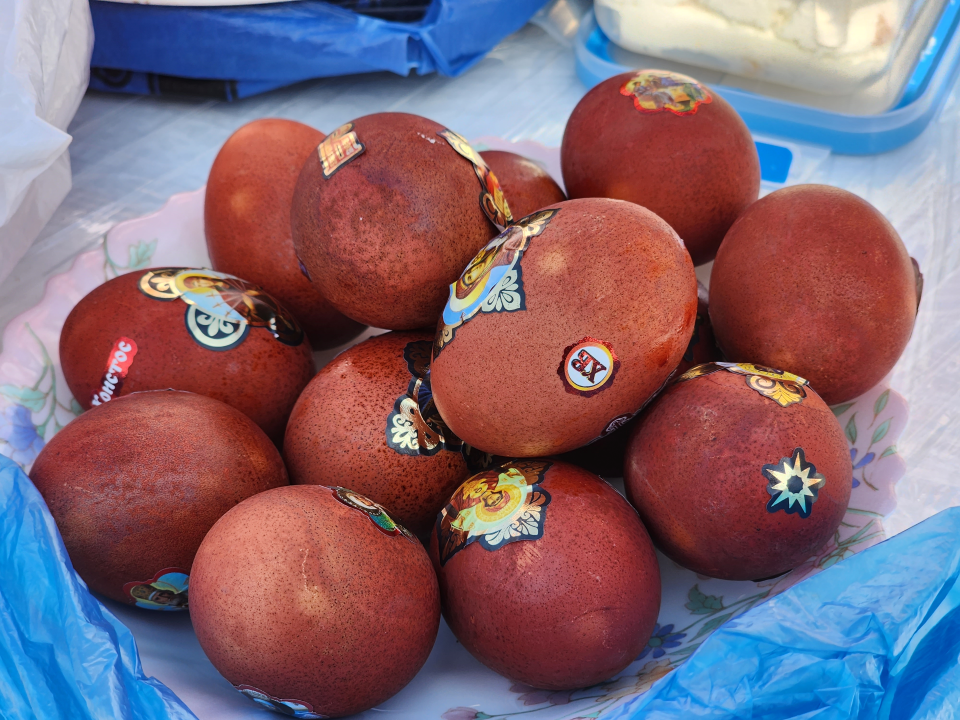 Фото: МедиаБанк Подмосковья/Роман Савельев