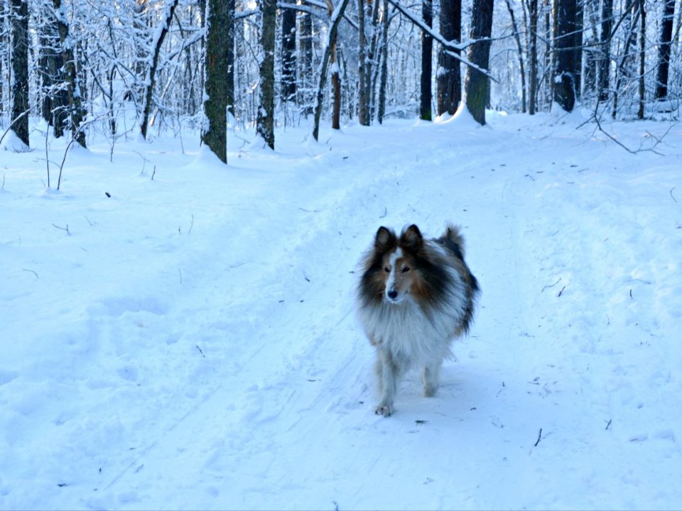 Фото: Максим Зубарев