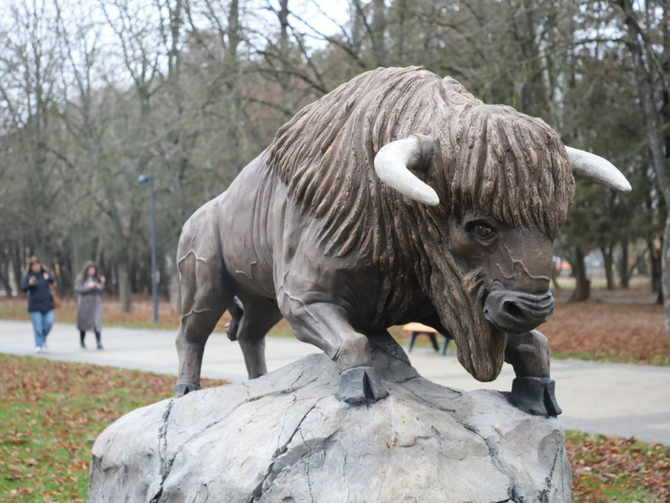 Фото: пресс-служба администрации г. о. Серпухов