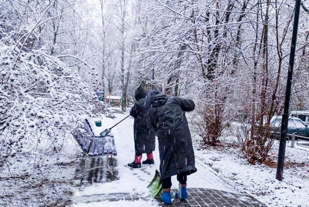Фото: пресс-служба администрации г. о. Красногорск