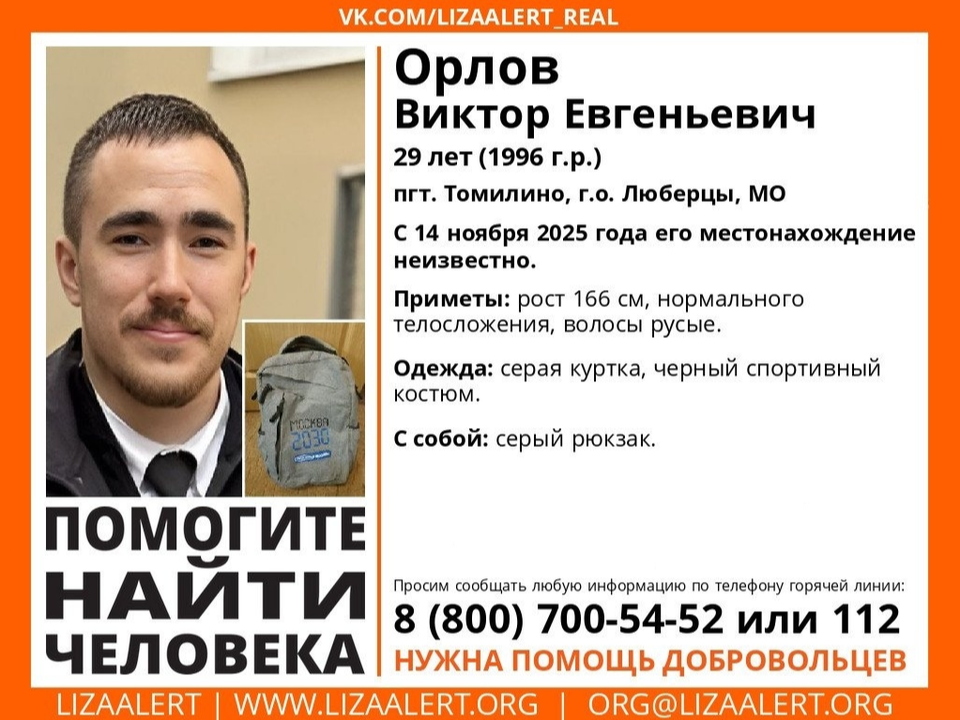 Фото: vk.com/Поисковый отряд «ЛизаАлерт»