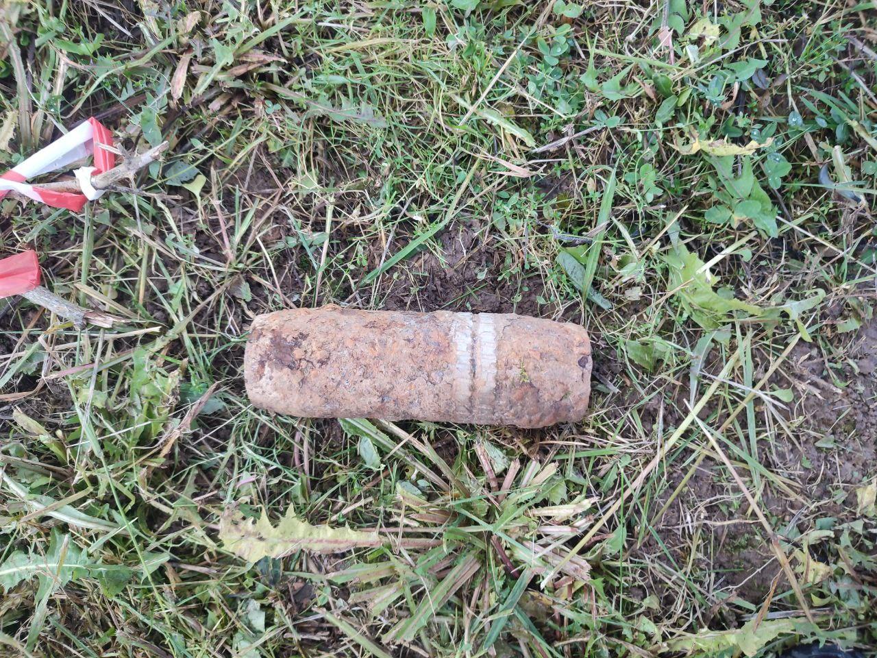 Фото: ГКУ МО «Мособлпожспас»