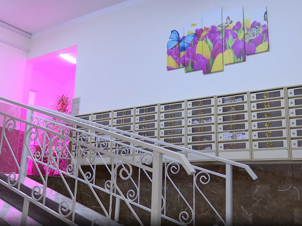 Фото: МедиаБанк Подмосковья/Ксения Казакова