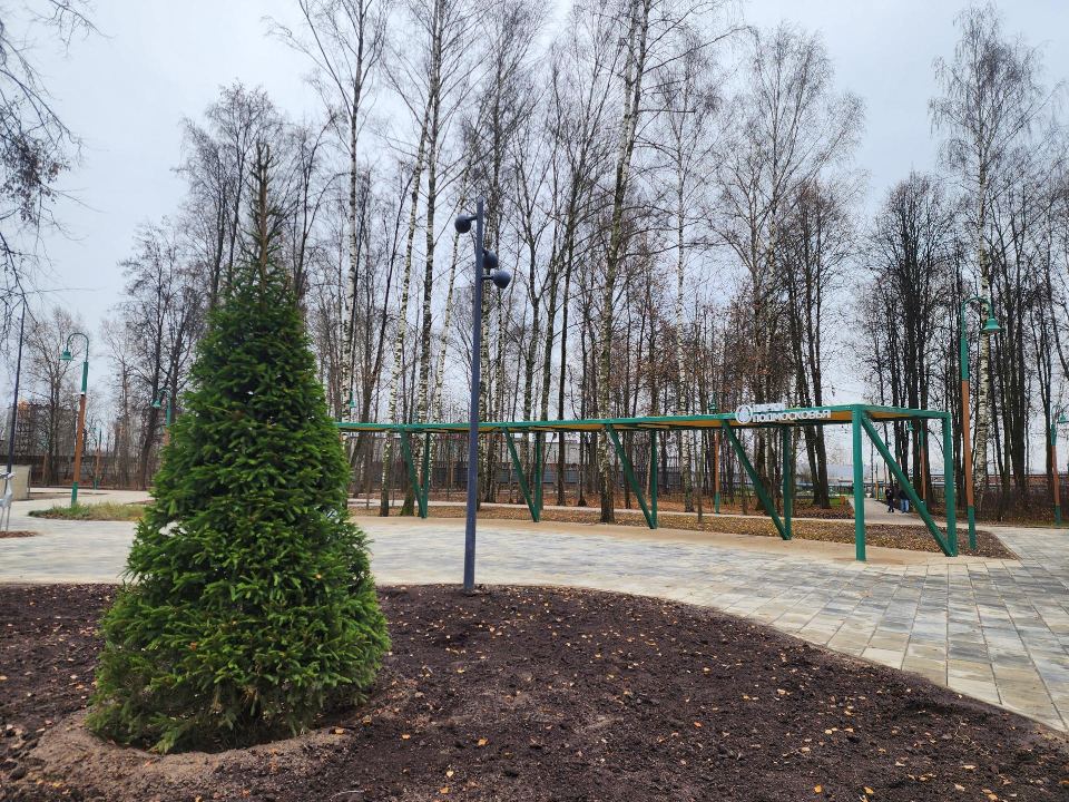 Фото: REGIONS/Ольга Аввакумова