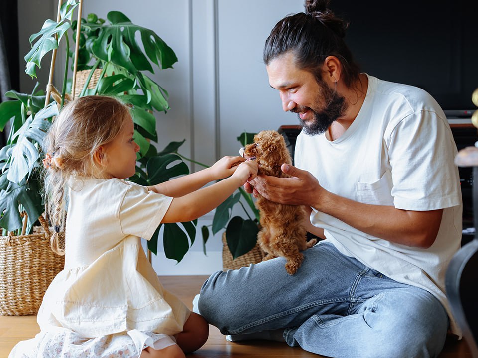 Фото: istockphoto.com/ozgurcankaya