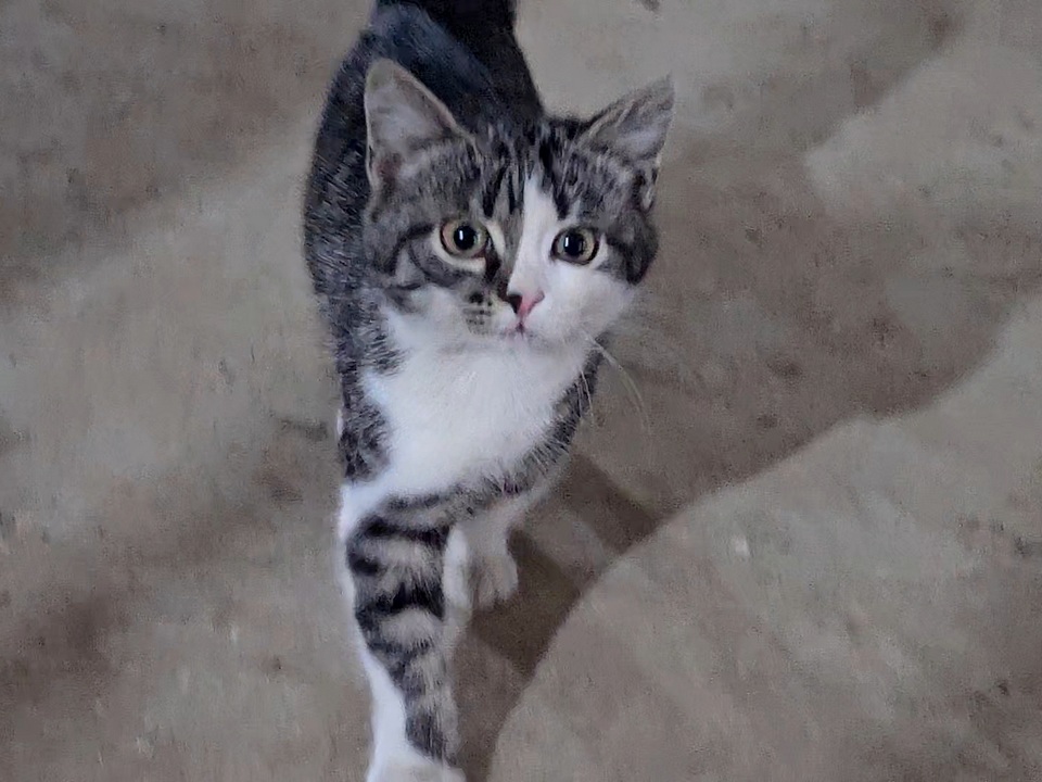 Фото: REGIONS/Александр Дрожжин