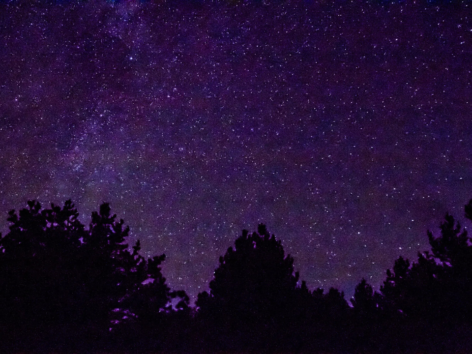 Фото: REGIONS/Владимир Ерастов