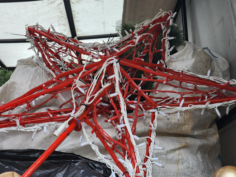 Фото: МедиаБанк Подмосковья/Мария Шигорева