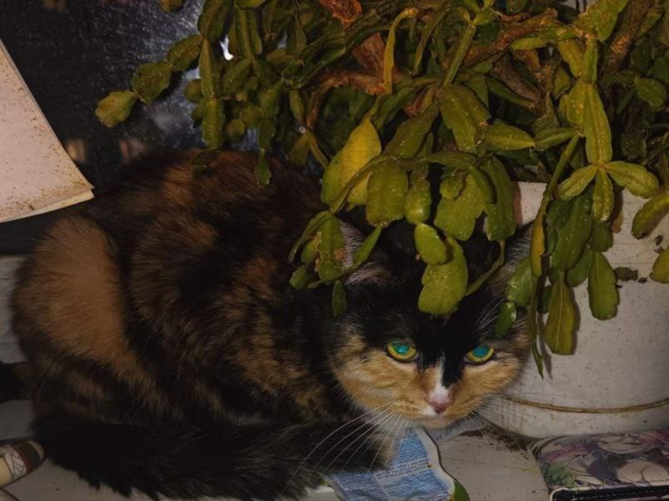 Фото: ГКУ МО «Мособлпожспас»