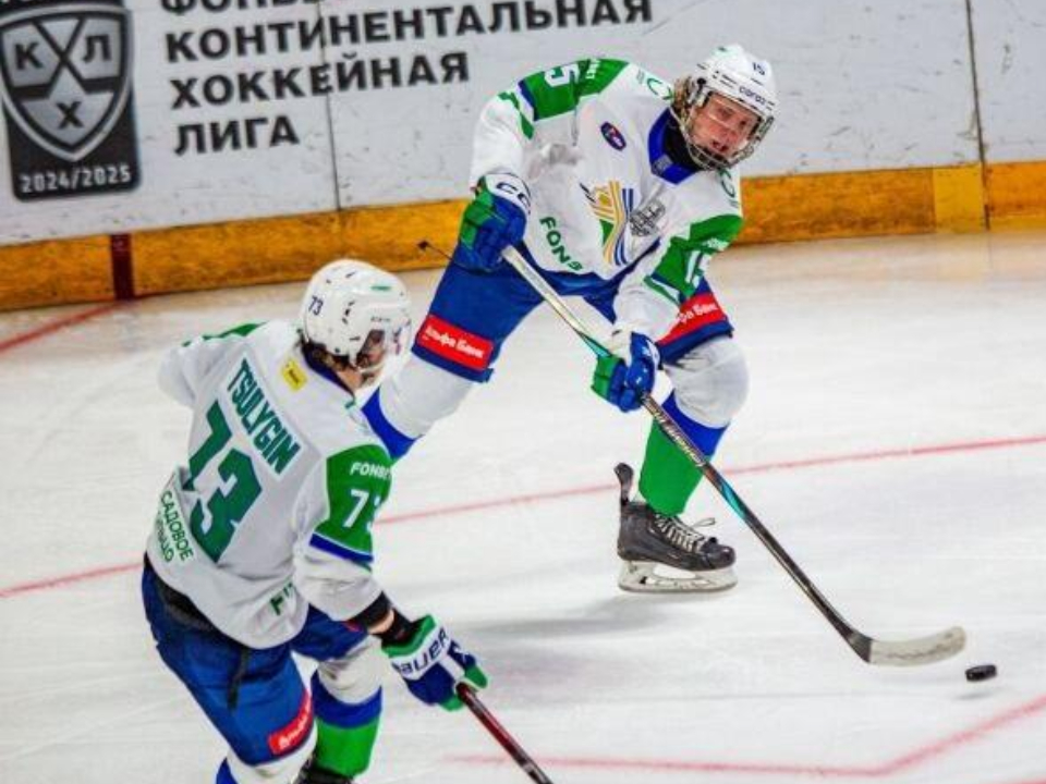 Фото: пресс-служба администрации г.о. Клин