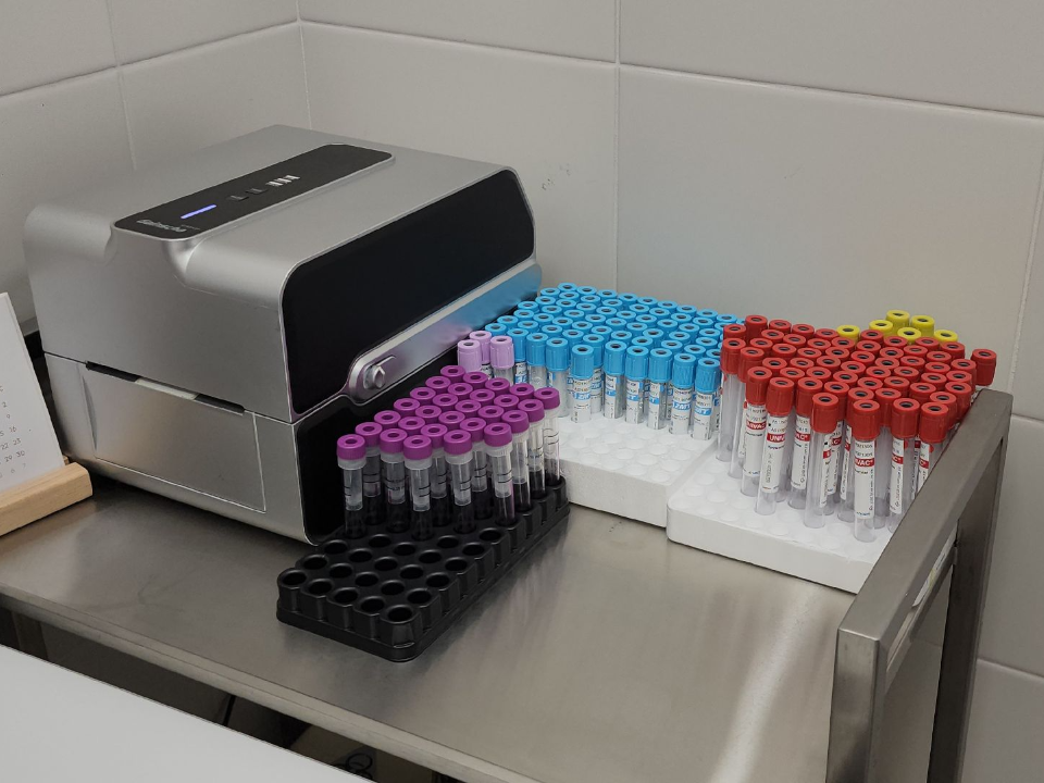 Фото: МедиаБанк Подмосковья/Кристина Ларина