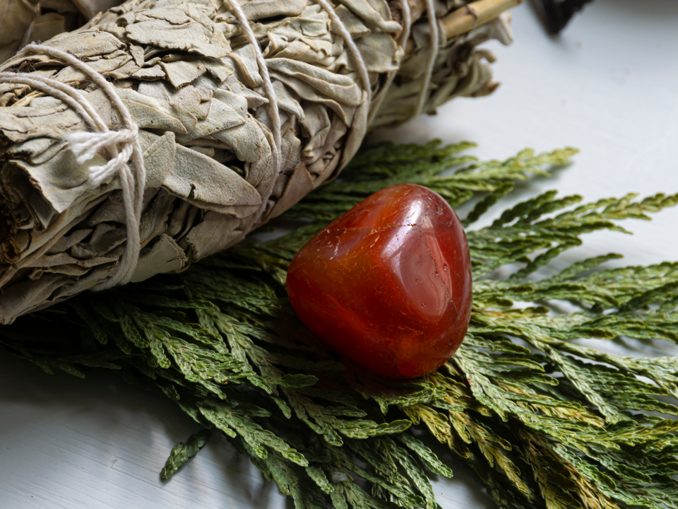 Фото: istockphoto.com/PamWalker68