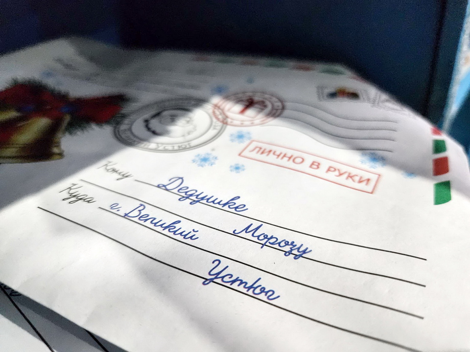 Фото: МедиаБанк Подмосковья/Ольга Аввакумова