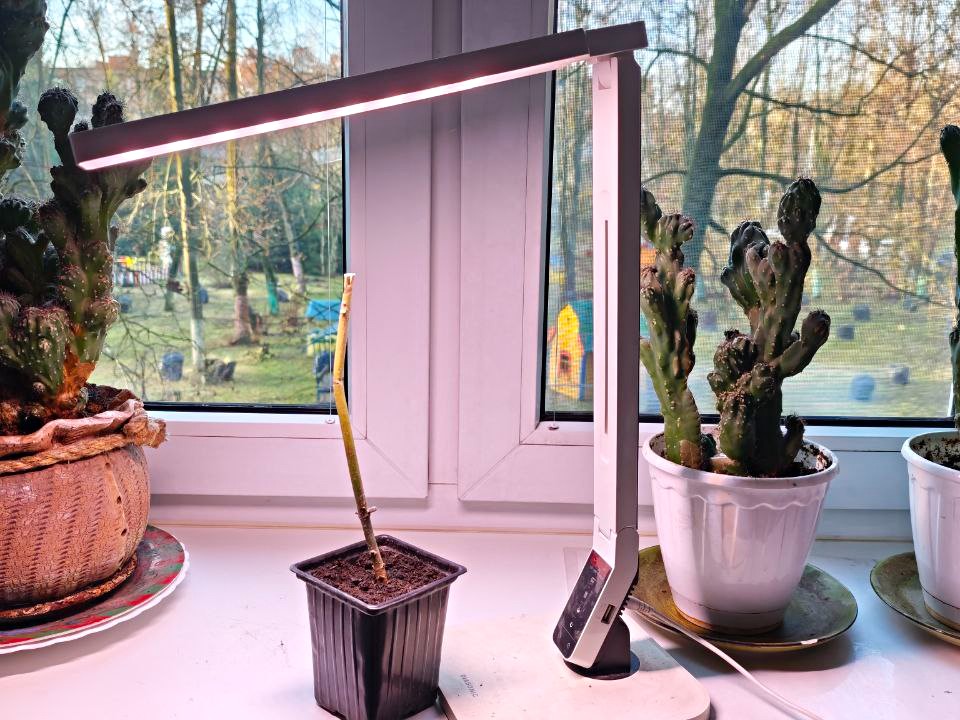 Фото: REGIONS/Максим Зубарев