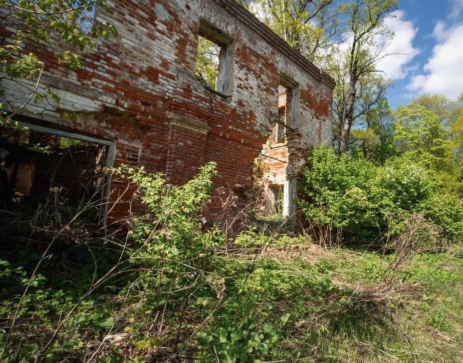 Фото: пресс-служба администрации г.о. Кашира 