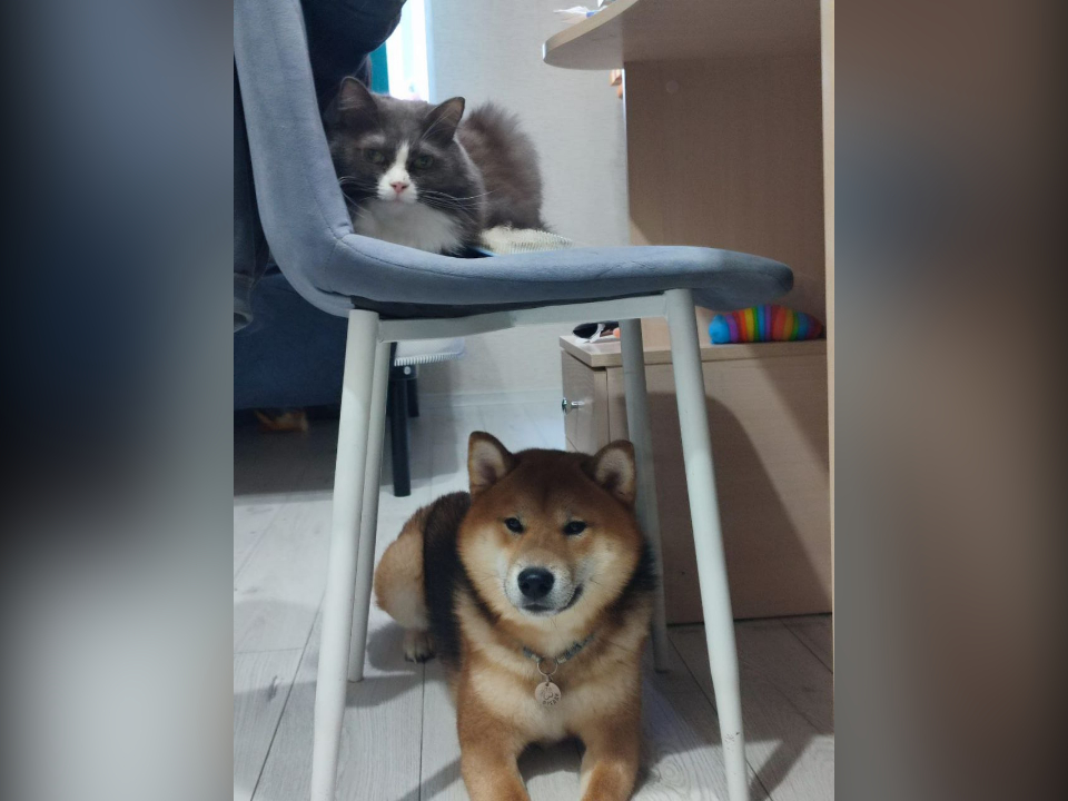 Фото: REGIONS/Юлия Габбасова