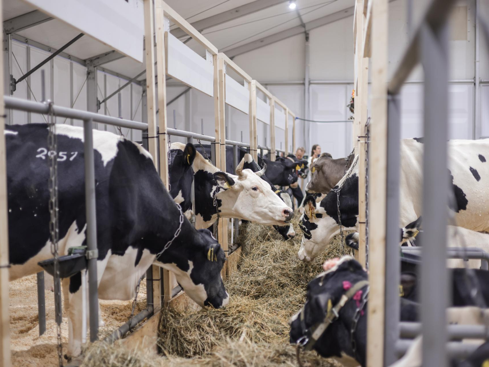 Фото: Министерство сельского хозяйства и продовольствия Московской области